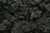 Woodland Scenics - Clump Foliage Conifer Green 3q - 185