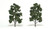 Woodland Scenics - Rm Med Green Trees 8'-9' 2pk - 1519