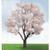 JTT Trees & Shrubs - Ho Cherry Blossom 3'-3.5'2pk - 92321