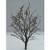 JTT Trees & Shrubs - Ho Dry Foliage Trees 3.5'-4'2p - 92322