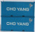 Jacksonville Terminal - N 20' Std Height CS Cont. Cho Yang - 205430