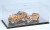 Tamiya Paint - Hobby Kits - Display Case C W/mirror - 73008