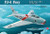 Hobby Boss Models - Fj-4 Fury 1:48 - 80312