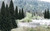 Woodland Scenics - 2' - 4' Evergreen 18pc Vp - 1585