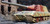 Trumpeter Models - Stug E-100 1:35 - 9542