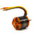 Spektrum - Avian Ef1 Race 3545-1250kv Outrunner Bl Motor - XAM4630