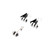 E-flite - Landing Gear Set: Sr-71 Blackbird Twin 40mm - 2060