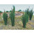 Bachmann Industries - Cattails - 3/4 Tall (24/pk) - 32505 Bachmann Industries - Cattails - 3/4 Tall (24/pk) - 32505