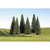 Bachmann Industries - Scenescapes Pine Trees, 3-4 (9) - 32101
