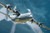 Academy Models - C-130J-30 Super Hercules (MIN) 1:144 - 12631