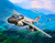 Trumpeter Models - A-6A/E INTRUDER 1:72 - 1640