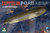 Takom Models - Zeppelin P Class Airship 1:350 - 6002