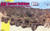 DML Military Kits - SAS Desert Raiders 3 Veh. w/crew 1:35 - 6931