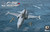 AFV Club - ROCAF F-5E Bombing Attack 1:48 - AR48S12