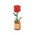 Robotime - ROWOOD Red Rose - TW042