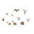 Woodland Scenics - HO Birds and Nests - A1970