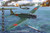 Border Models - B5N2 Kate Type 97 w/Full Interior 1:35 - BF005
