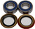 All Balls - Wheel Bearing & Seal Kit - 25-1431
