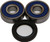 All Balls - Rear Wheel Bearing/seal Kit - 25-1323