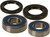 All Balls - Wheel Bearing & Seal Kit - 25-1252