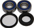 All Balls - Front Wheel Bearing Kit - 25-1380