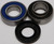 All Balls - Chain Case Bearing & Seal Kit - 14-1019