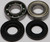 All Balls - Chain Case Bearing & Seal Kit - 14-1045