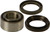 All Balls - Wheel Bearing & Seal Kit - 25-1434