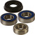 All Balls - Chain Case Bearing & Seal Kit - 14-1018