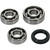 Hot Rods - Counter Balancer Bearing Kit - HR00165