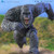 Hiya Toys - Exquisite Basic Series Figures - Godzilla x Kong: The New Empire (2024 Movie) - Kong
