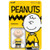 Super7 - ReAction Figures - Peanuts - W07 - Charlie Brown - 4 Pack