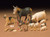 Tamiya Paint - Hobby Kits - LIVESTOCK SET 1:35 - 35128