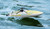 Rage R/C - Torrent 450BL RTR Jet Boat, Green - B1501