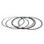 Polaris 0452431 Crankshaft Piston Ring Set 5-2019 Phoenix Sawtooth