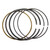 Polaris 0454589 Piston Ring Set 170 2009-2019 RZR 170 OEM