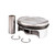 Polaris 2204637 OEM Piston Kit 2012-2014 RZR XP 900 4 LE EPS EFI Jagged X Edition HO