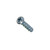 Polaris 7522021 Screw Sportsman Xpress Magnum 500 700 400 300 455 6X6 335