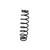 Polaris 7043732-458 OEM Matte Black Spring Compression 2015 Rush 600 PRO S