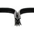 Polaris 5455610 Door Seal General XP Sport EPS Ultimate 1000 4 5455581
