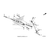 Honda - Collar, Steering Pivot - 53711-HL4-A00