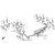 Honda - Pipe B, Master Cylinder - 45135-HL1-A00