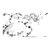 Honda - Switch Assembly, Hill Assist - 35330-HL6-A01