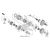 Honda - Gear, Final Drive (16T) - 23621-HL1-A00