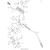 Kawasaki - Spring - 92145-0832