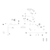 Can-Am - Terminal - 710002315