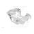 Can-Am - Can-Am Decal - 704905294