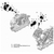 Can-Am - Water Pump Housing - 420222680