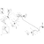 Can-Am - Front Caliper Hose - 705601754
