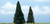 Woodland Scenics - Evergreen 4'-5' 2pc - 1626